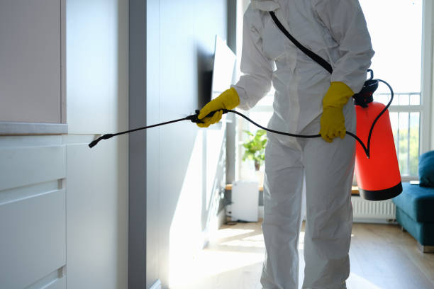 Best Residential Mold Remediation in Lexington, MN