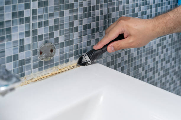 Best Insurance-Related Mold Remediation in Lexington, MN